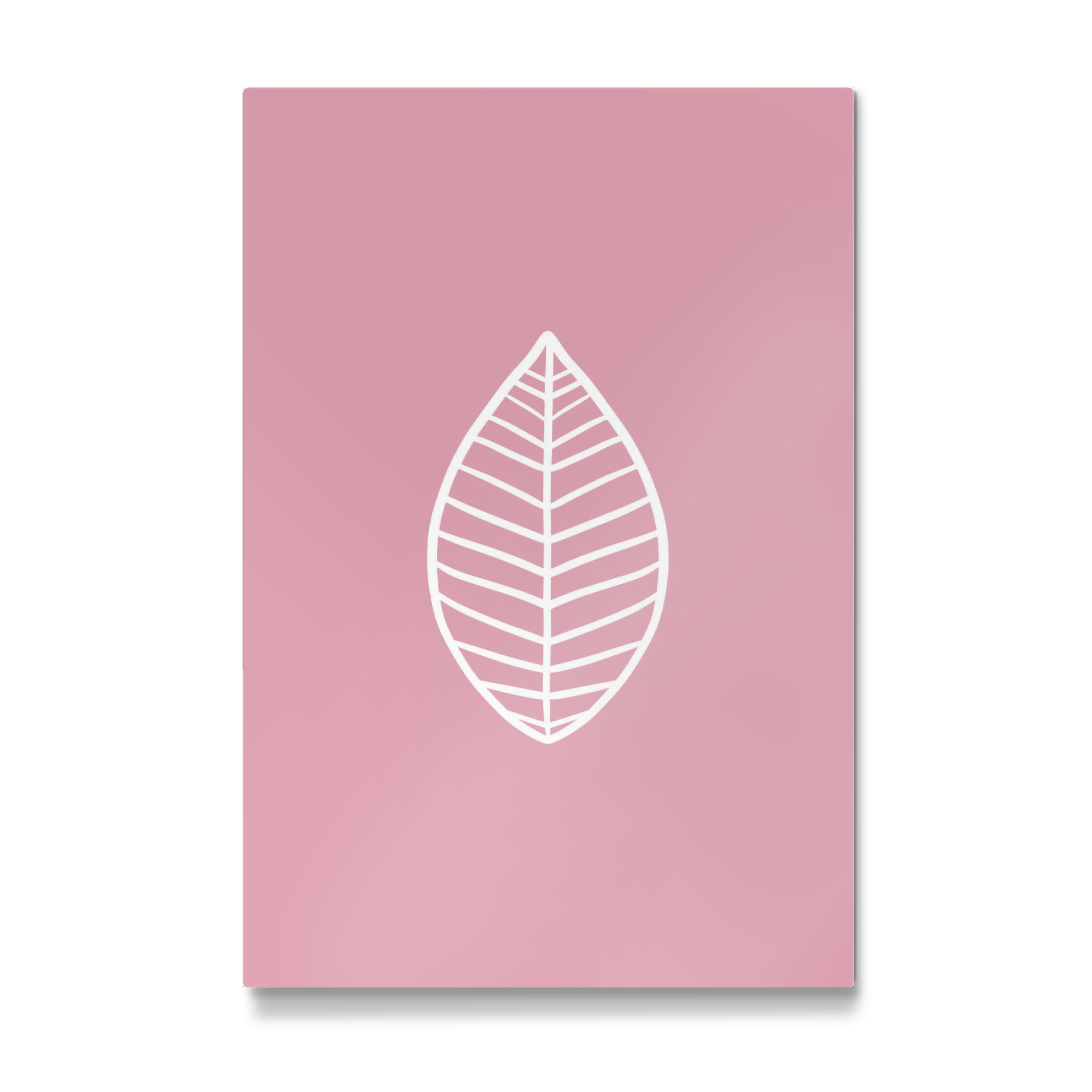 Galerie-Print "Blatt auf Pastell Rosa" 75x50 cm artboxONE