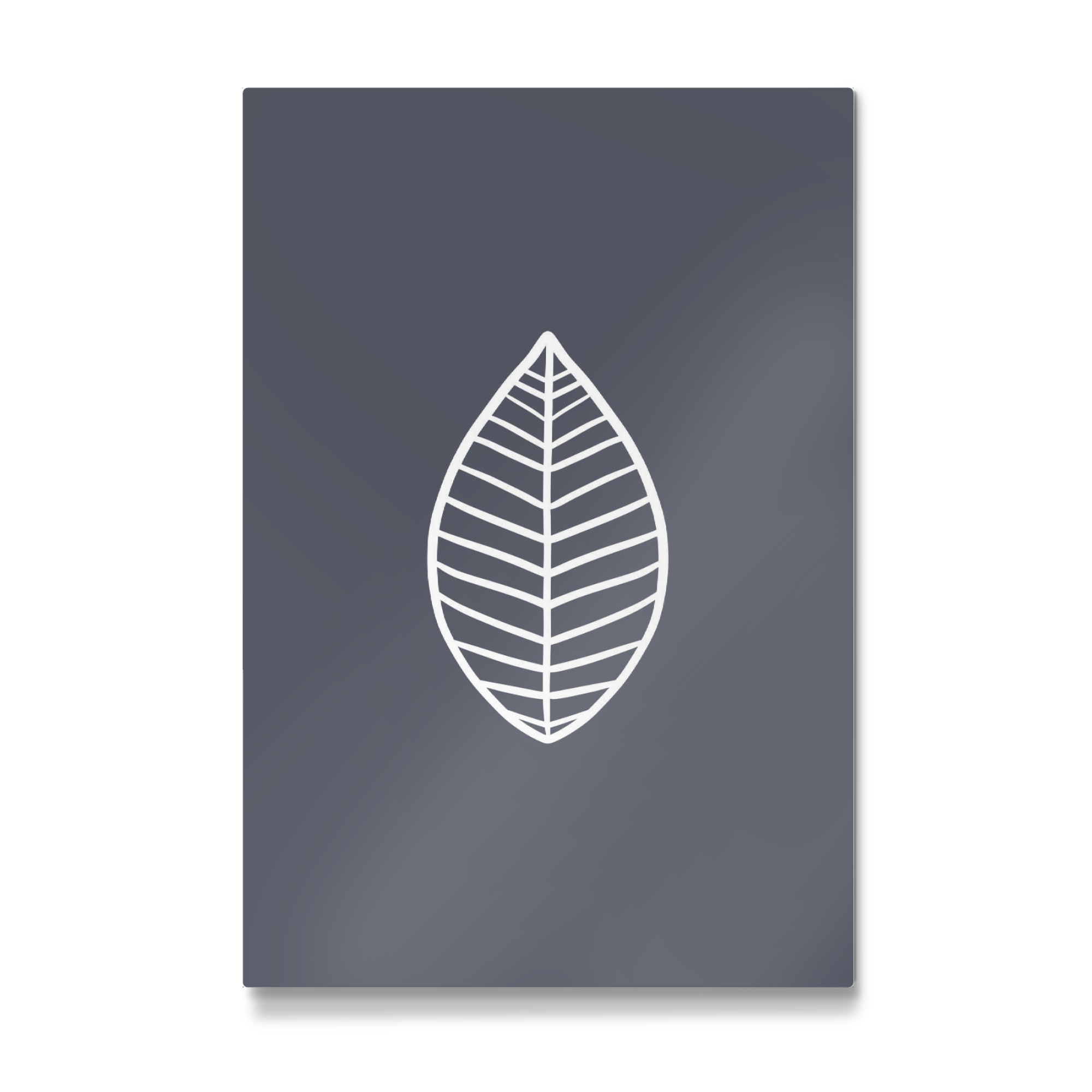 Galerie-Print "Blatt auf Pastell Grau" 30x20 cm artboxONE