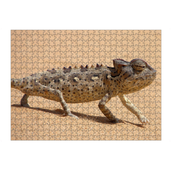 Puzzle Ravensburger "Ein Chamäleon in der Wüste" artboxONE - Natur,Reise,Tiere,Reise / Afrika