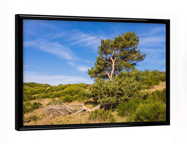 Poster mit schwarzem Rahmen "Gras, Gebüsch und Baum" artboxONE - Natur,Reise