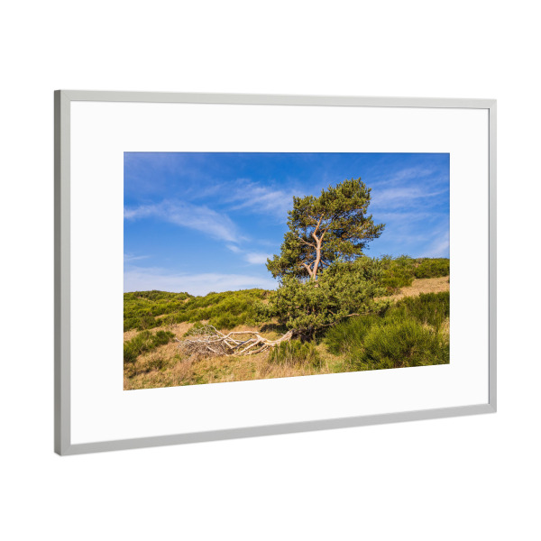 Poster mit Rahmen Silber "Gras, Gebüsch und Baum" artboxONE - Natur,Reise