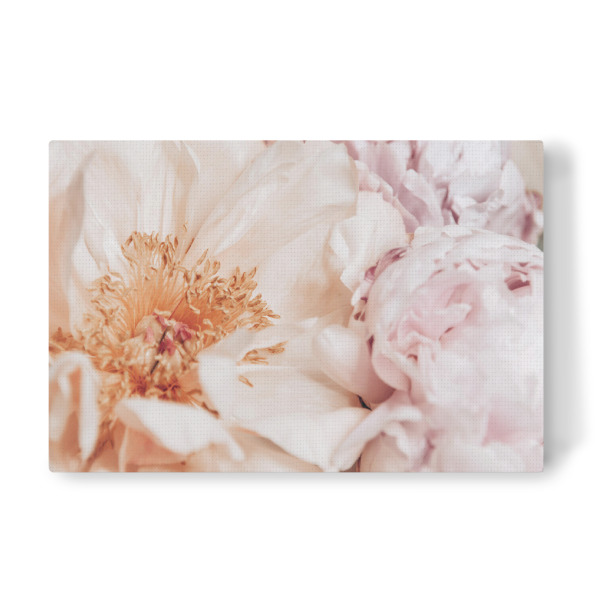 Leinwandbild "Rosen zu Pfingsten" artboxONE - Floral