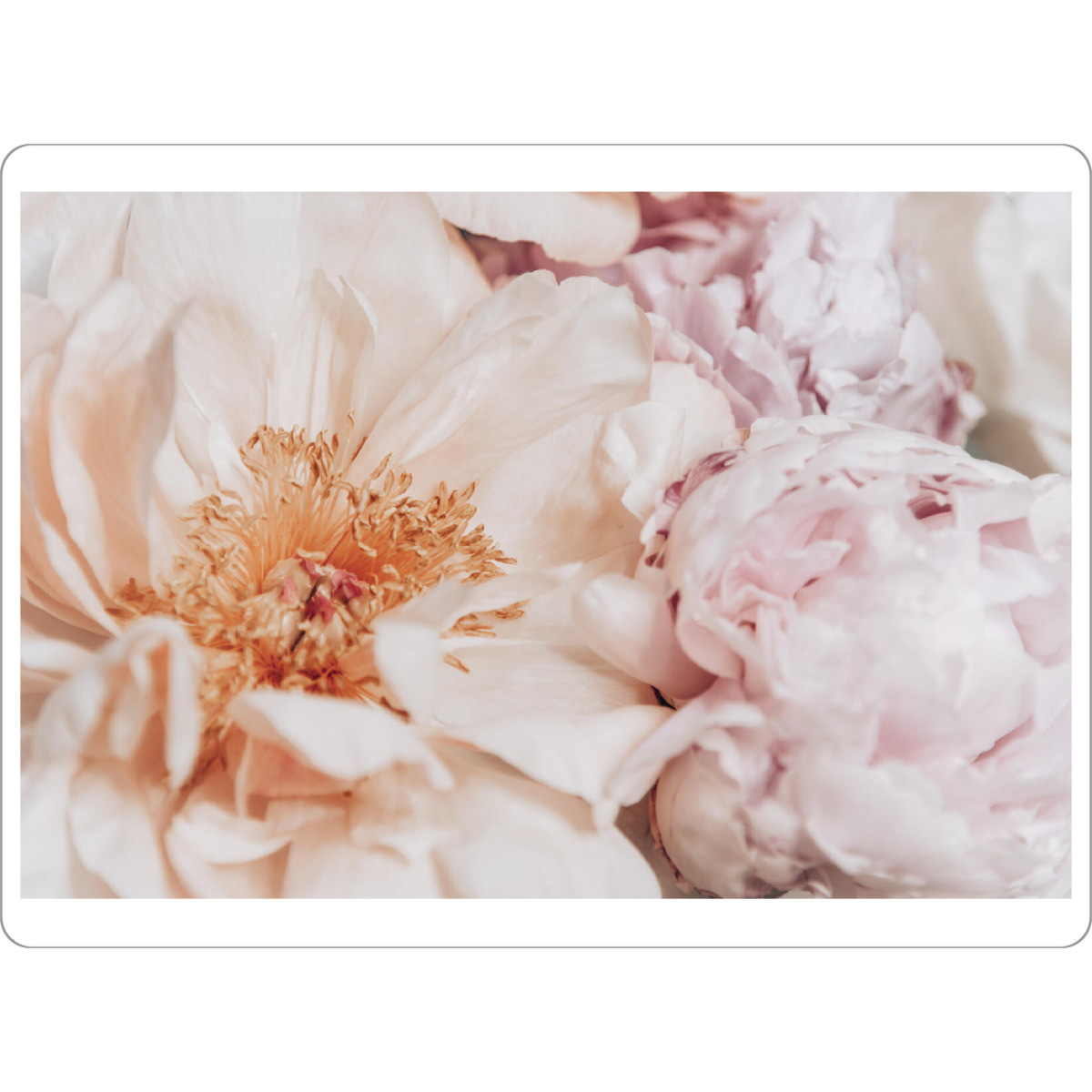Tischset "Rosen zu Pfingsten" artboxONE - Floral