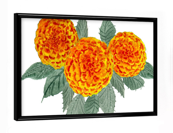 Poster mit schwarzem Rahmen "Orange Hortensien" artboxONE - Natur,Floral