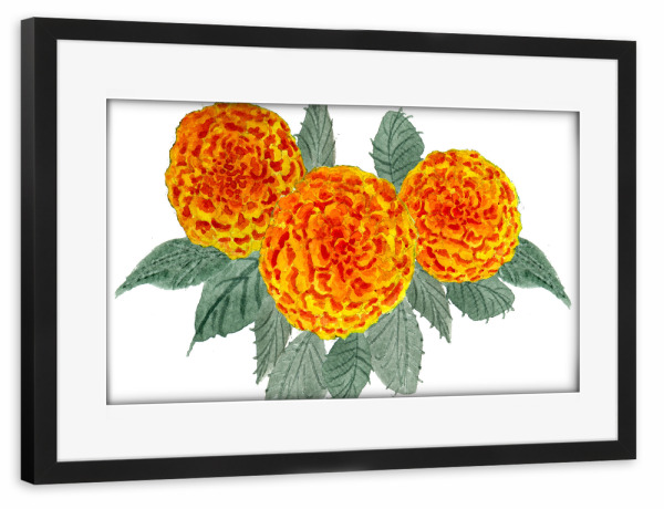 Poster mit Rahmen schwarz "Orange Hortensien" artboxONE - Natur,Floral