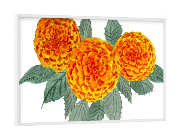 Poster mit weißem Rahmen "Orange Hortensien" artboxONE - Natur,Floral