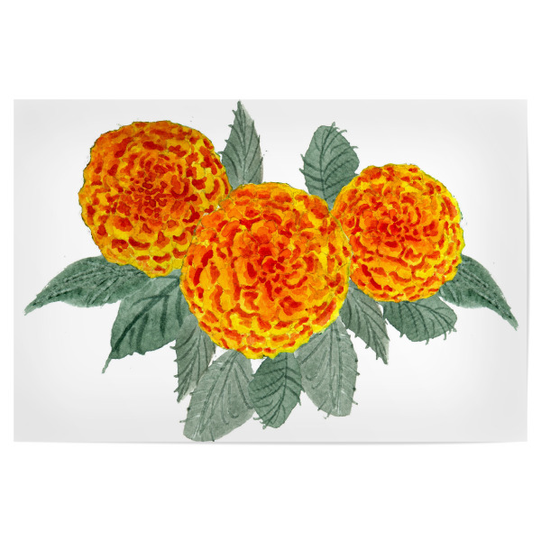 Poster 30x20 cm "Orange Hortensien" artboxONE - Natur,Floral - Hortensien,Hydrangea,Blumen,Blüten,Wasserfarben,Garten,Natur,Pflanzen,Farbenfroh