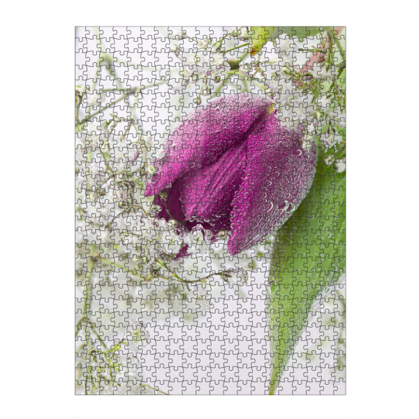 Puzzle Ravensburger "Tulpe und Schleierkraut" artboxONE - Floral