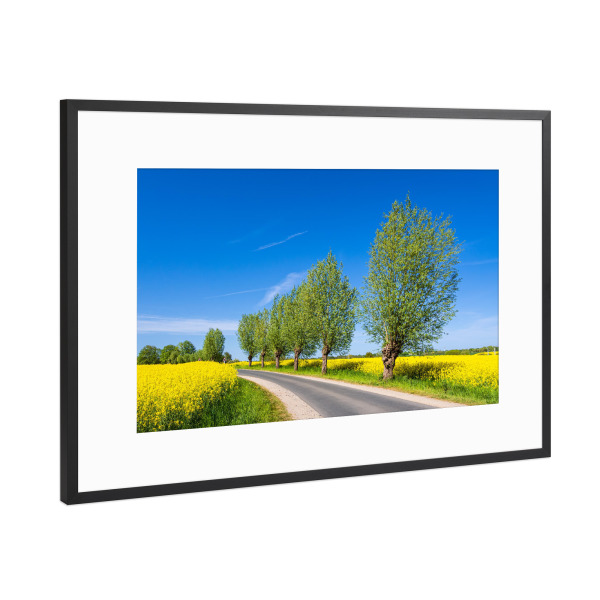 Poster mit Rahmen Schwarz (Metallic) "Rapsfeld, Straße, Bäume" artboxONE - Natur,Reise