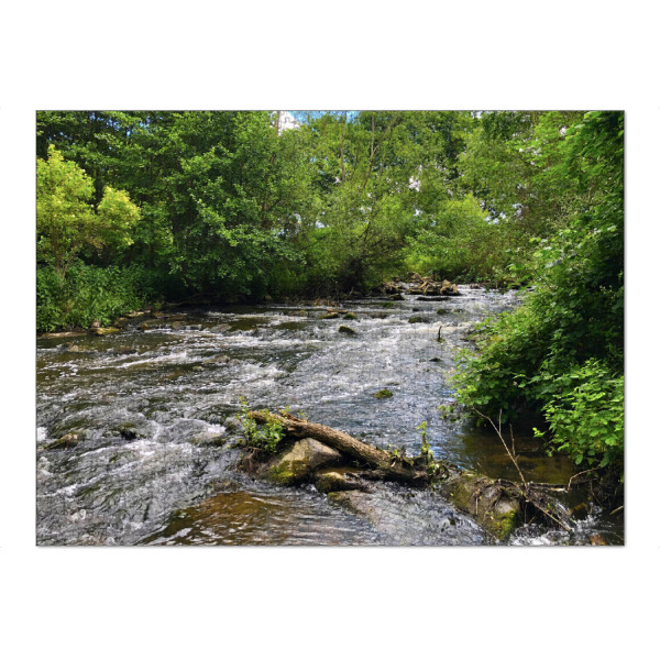 Puzzle Ravensburger "Bach inmitten des grünen Waldes" artboxONE - Natur,Reise,Reise / Länder