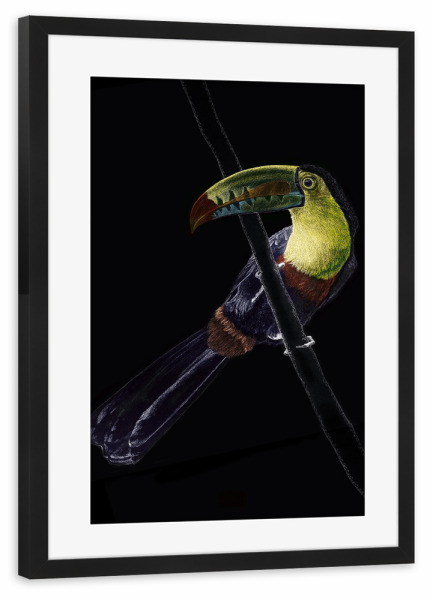 Poster mit Rahmen schwarz "Schöner Tukan" artboxONE - Tiere - Tukan,Tier,Vogel,Tropisch,Urwald,Regenwald,Bunt,Rainforest,Tropical