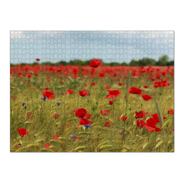 Puzzle Ravensburger "Mohnblumenfeld bei Stralsund" artboxONE - Natur,Reise,Floral
