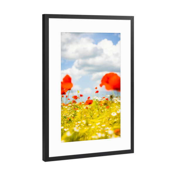 Poster mit Rahmen Schwarz (Metallic) "Leuchtendes Mohnblumenfeld" artboxONE - Natur,Reise,Floral