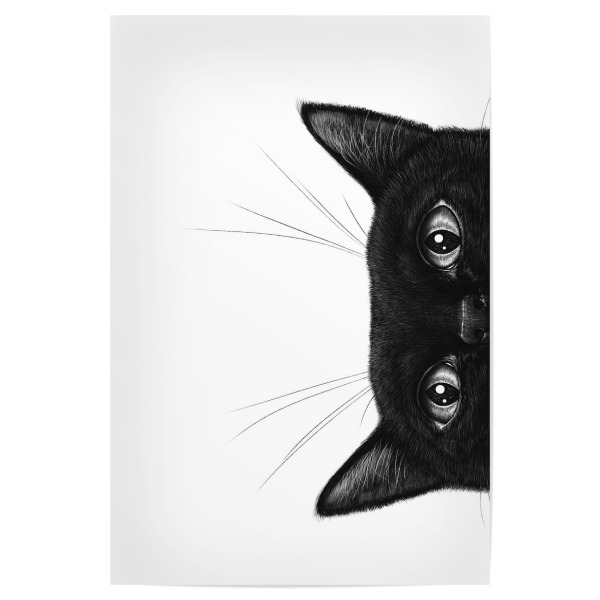 Poster "Süße Katze" artboxONE - Natur,Tiere,Weihnachten,Für Mama,Lustig - Katzen,Katze,Schwarze katze,Schwarz und weiß,Süß,Lustig