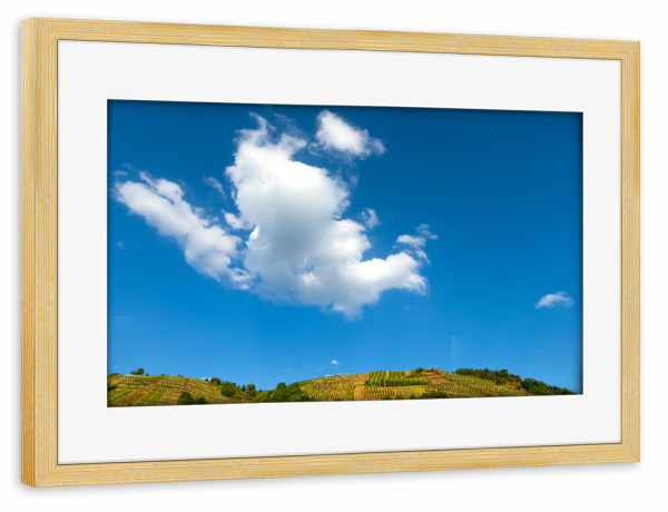 Poster mit Rahmen kiefer "Weinberge im Ahrtal" artboxONE - Natur,Reise