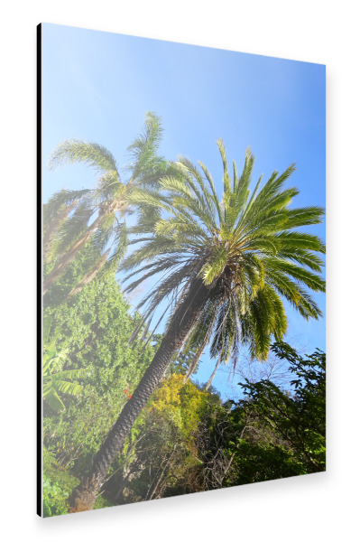 Alu-Dibond "Zwei Palmen" 30x20 cm artboxONE