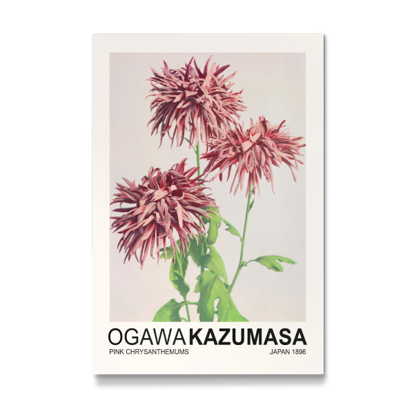 Galerie-Print "Chrysanthemums - Ogawa Kazumasa" 30x20 cm artboxONE