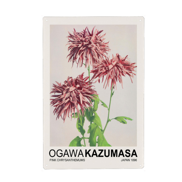 Metall Poster "Chrysanthemums - Ogawa Kazumasa" artboxONE - Floral - Flower,Flowers,Floral,Japan,Japanese,Asian,Japandi,Scandi,Ogawa kazumasa