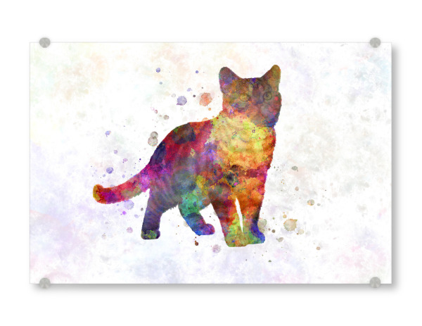 Acrylglasbild "Amerikanisch Kurzhaar in Aquarell" artboxONE - Tiere,Abstrakt