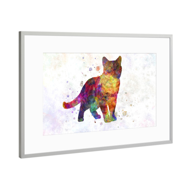 Poster mit Rahmen Silber "Amerikanisch Kurzhaar in Aquarell" artboxONE - Tiere,Abstrakt