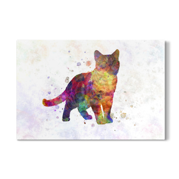 Galerie-Print "Amerikanisch Kurzhaar in Aquarell" 30x20 cm artboxONE