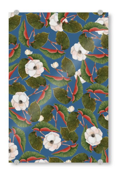 Acrylglasbild "Saundarya" artboxONE - Natur,Floral - Grafik,Aquarell,Muster,Vektor,Blumen,Natur,Kräuter,Schönheit,Tropisch,Exotisch,Lotus,Blumen