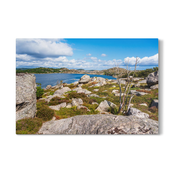 Galerie-Print "Felsen und Baum auf Skjernøya" 30x20 cm artboxONE
