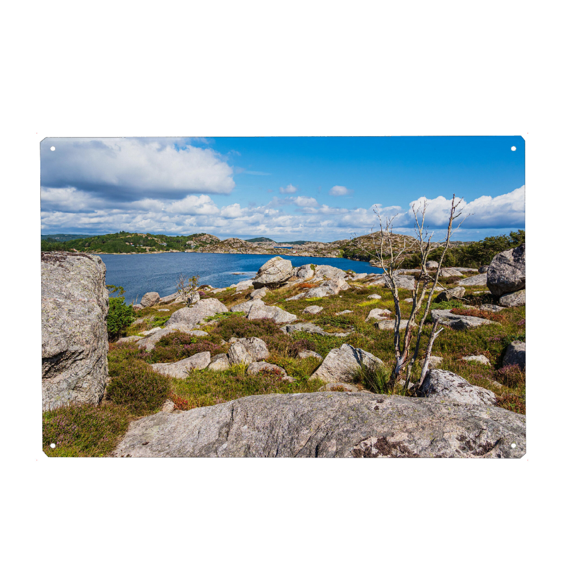 Metall Poster "Felsen und Baum auf Skjernøya" artboxONE - Natur,Reise,Reise / Strand und Meer,Reise / Länder