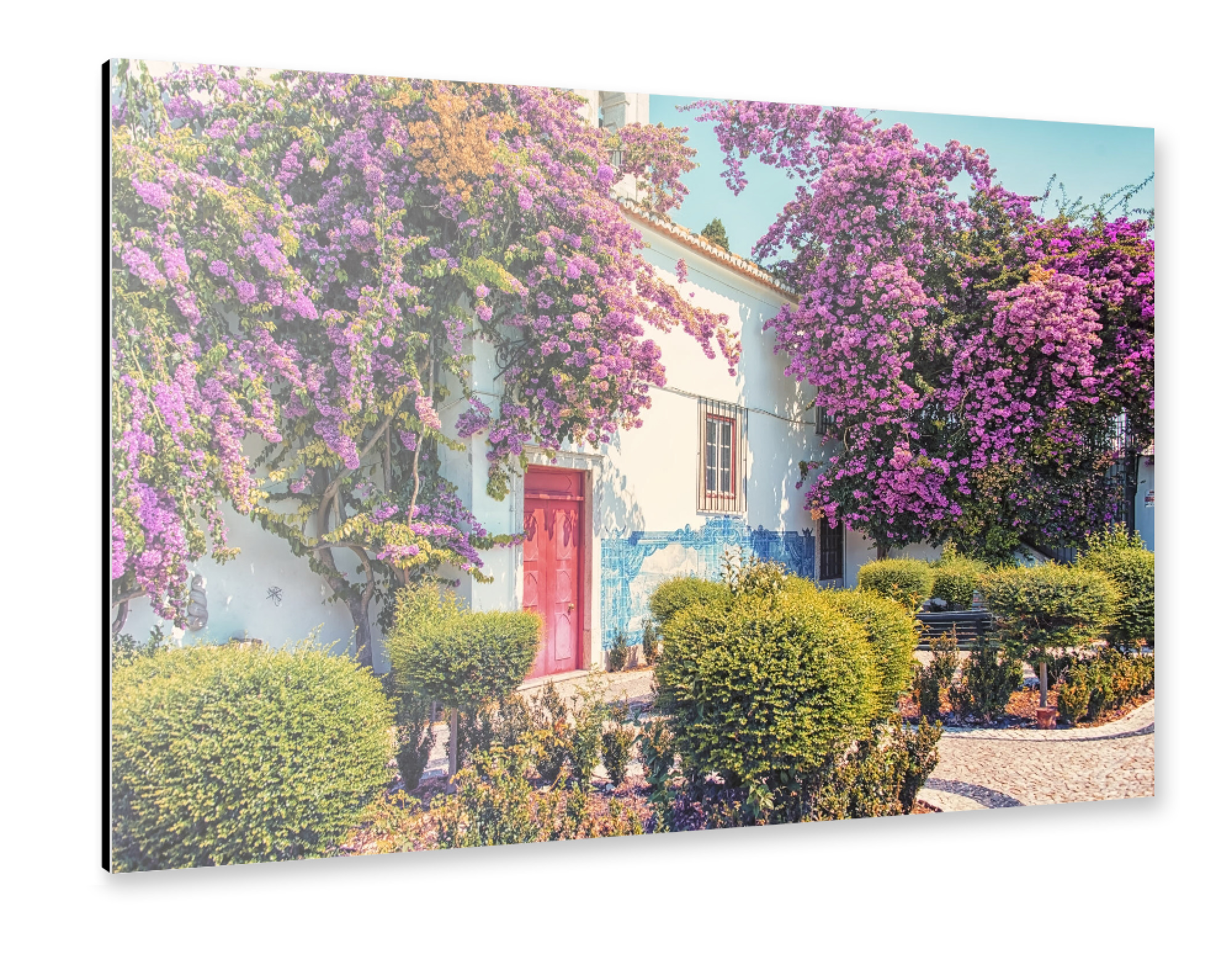 Alu-Dibond "Bougainvillea in Lissabon" 30x20 cm artboxONE