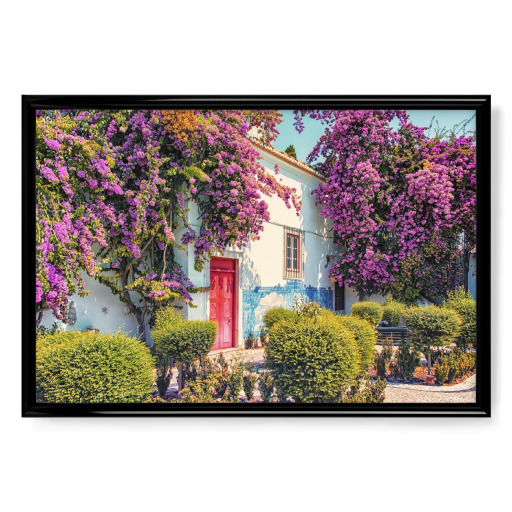 Bougainvillea in Lissabon