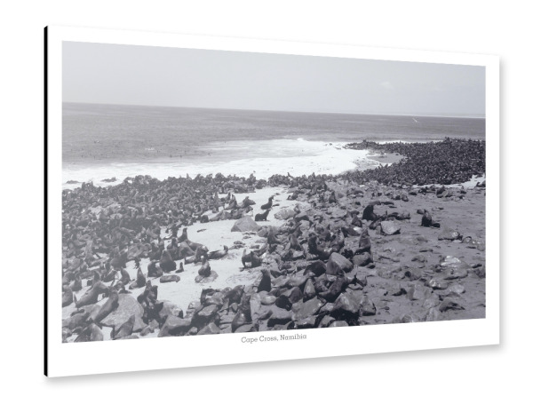 Alu-Dibond "Eine Robbenkolonie in Namibia" 30x20 cm artboxONE