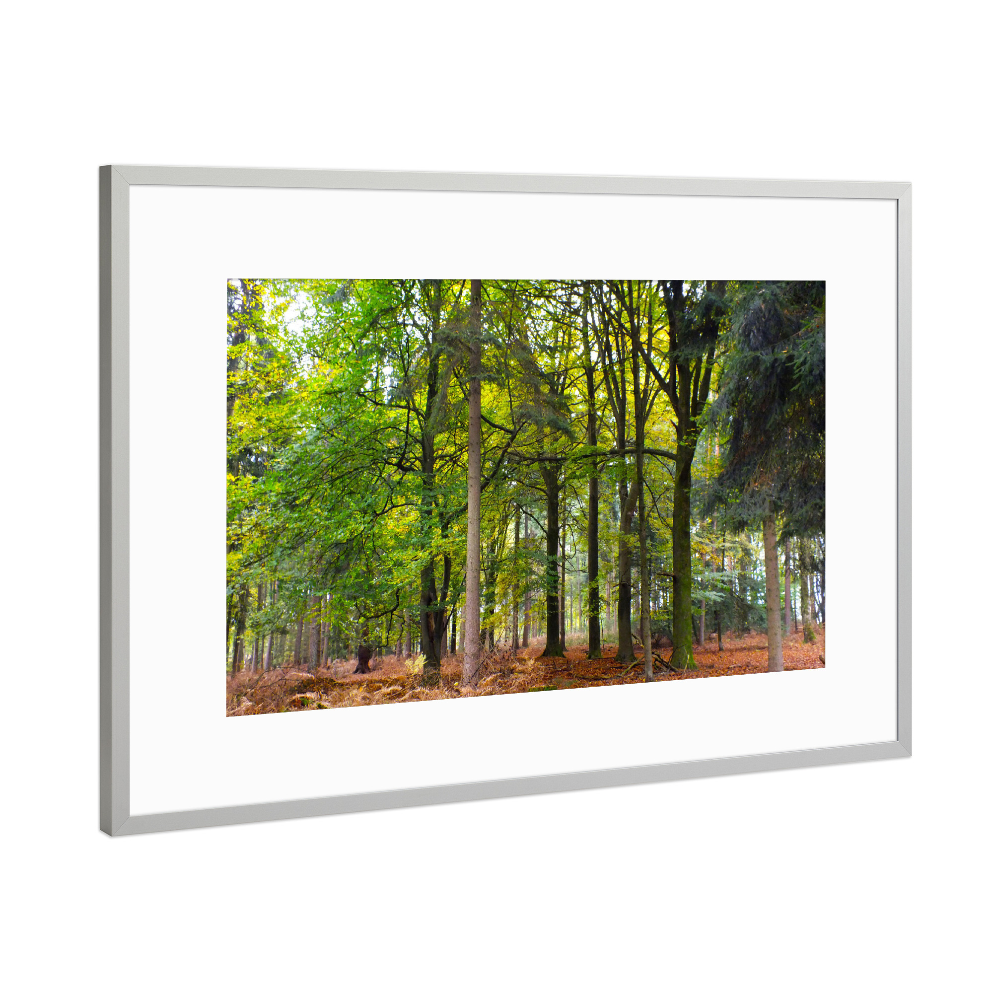 Poster mit Rahmen Silber "Herbstfarben im Wald" artboxONE - Natur,Floral