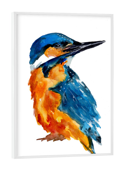 Poster mit weißem Rahmen "Kleiner Eisvogel" artboxONE - Natur,Tiere - Eisvogel,Vogel,Tiere,Wildlife,Birds,Animal,Kingfisher,Watercolor