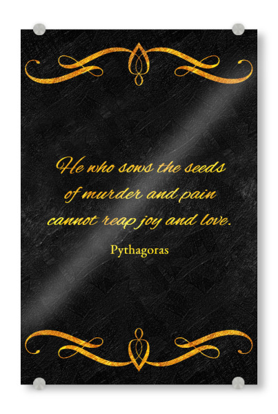 Acrylglasbild "Freude und Liebe säen" artboxONE - Typografie