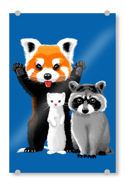 Acrylglasbild "Raccoon, ferret and red panda" artboxONE - Für Kinder,Tiere
