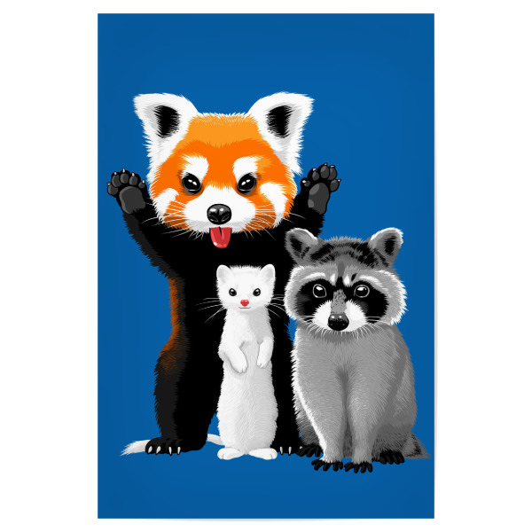 Poster 30x20 cm "Raccoon, ferret and red panda" artboxONE - Für Kinder,Tiere
