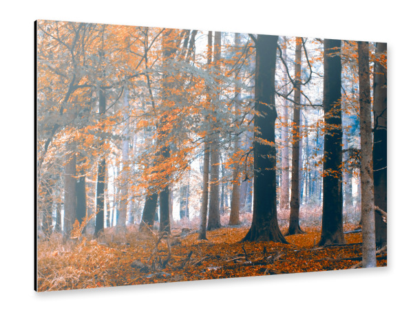 Alu-Dibond "Herbstwald in orange" 30x20 cm artboxONE