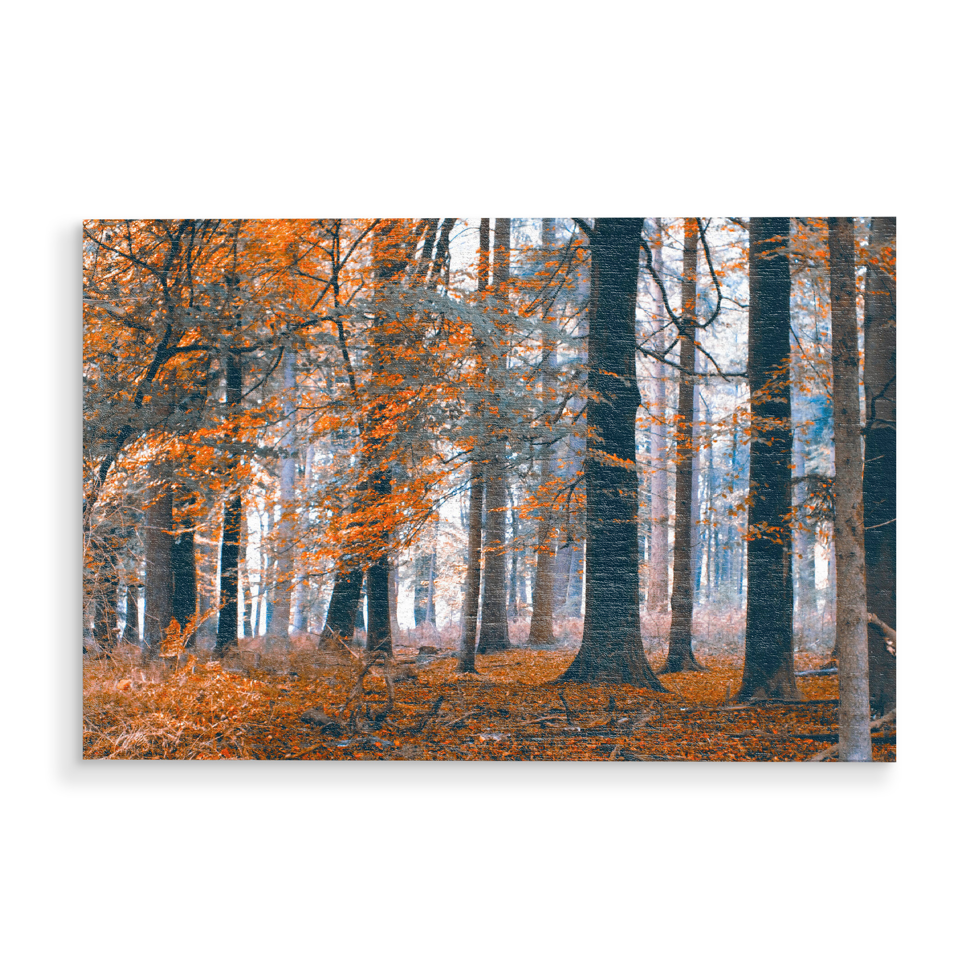 Holzbild "Herbstwald in orange" artboxONE - Natur,Floral