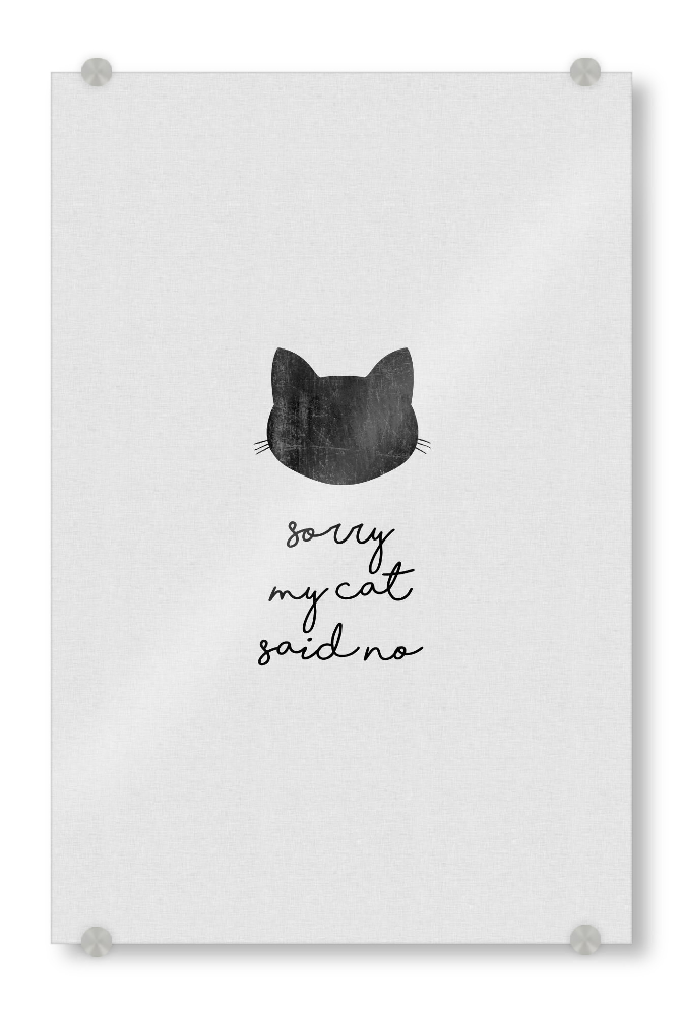 Acrylglasbild "Meine Katze hat nein gesagt" artboxONE - Typografie,Tiere,Abstrakt,Lustig
