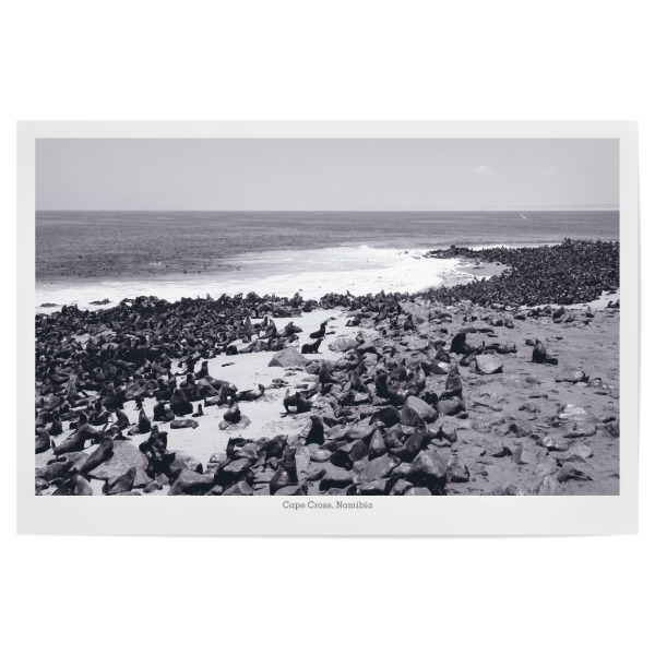 Poster 30x20 cm "Cape Cross in Namibia" artboxONE - Natur,Schwarzweiß,Reise / Strand und Meer,Reise / Afrika,Reise / Länder