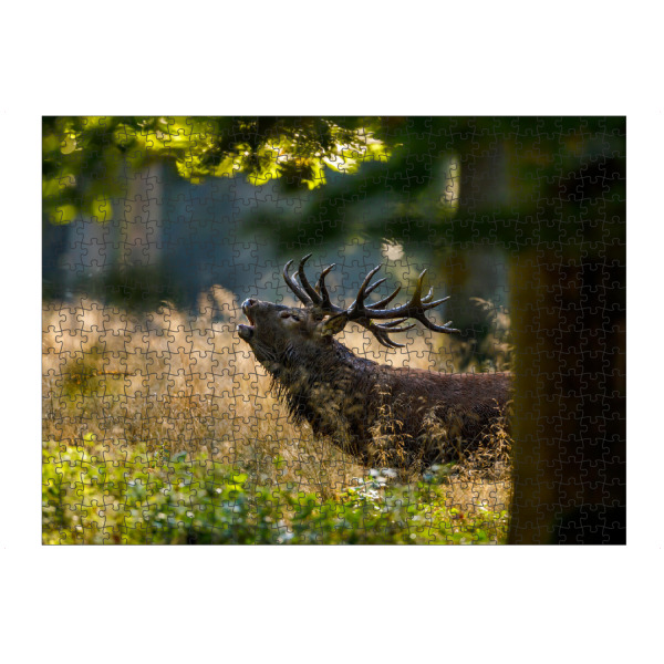 artboxONE Puzzle "Hirsch im Wald" artboxONE - Natur,Tiere - Hirsch,Brunft,Hirschbrunft,Rotwild,Wald,Wildtier,Wildlife,Tier,Natur - Bild hirsch