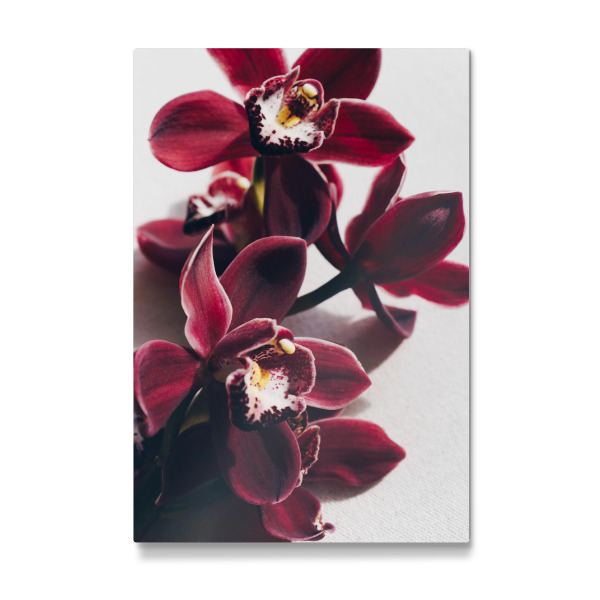 Galerie-Print "Delicate Orchid" 30x20 cm artboxONE