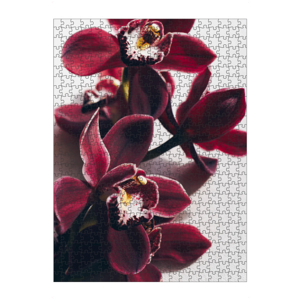 artboxONE Puzzle "Delicate Orchid" artboxONE - Floral - Orchidee,Blumen,Zart,Feminin - Bild orchidee