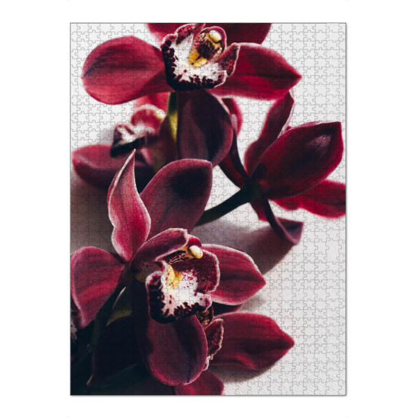 Puzzle Ravensburger "Delicate Orchid" artboxONE - Floral - Orchidee,Blumen,Zart,Feminin - Bild orchidee