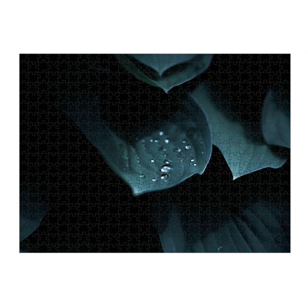 artboxONE Puzzle "Wassertropfen auf Blättern" artboxONE - Natur,Floral