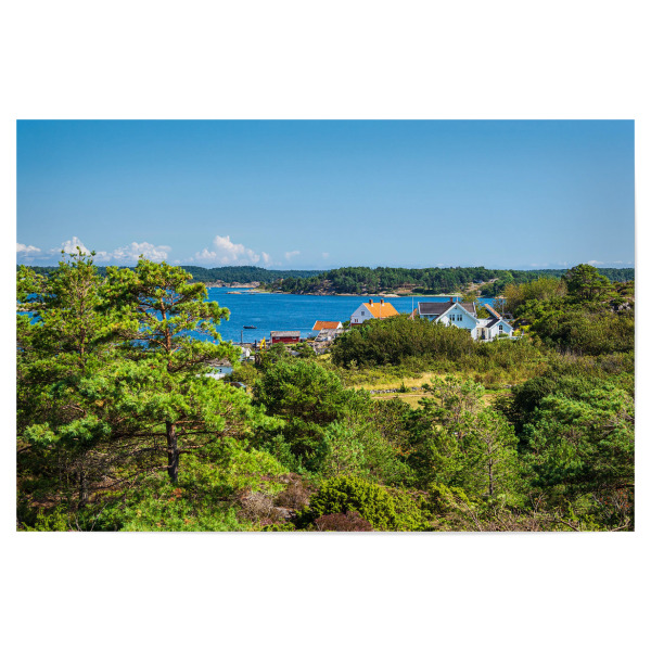 Poster "Bäume, Häuser, Küste" artboxONE - Natur,Reise,Architektur,Reise / Strand und Meer,Reise / Länder