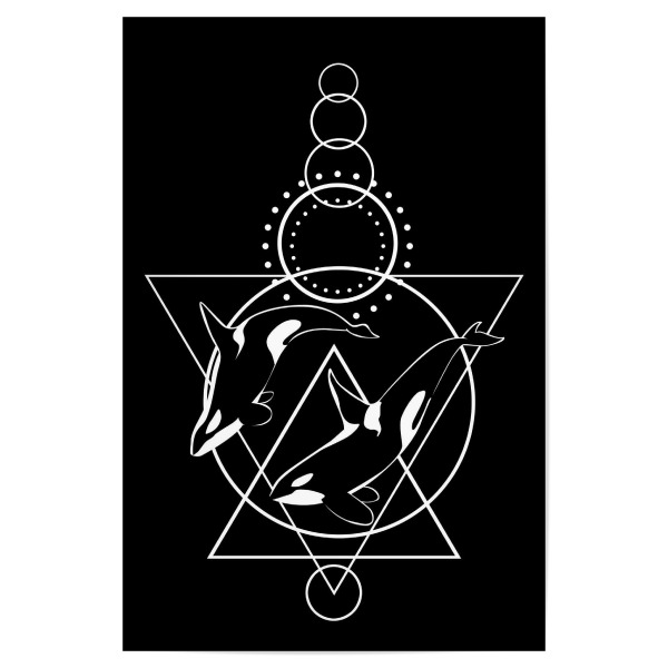 Poster 30x20 cm "Kreis mit Walen" artboxONE - Tiere,Abstrakt,Geometrie