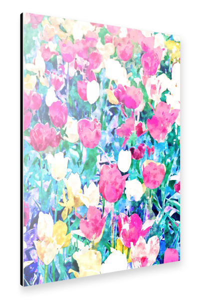 Alu-Dibond "Wiese in voller Blüte" 30x20 cm artboxONE