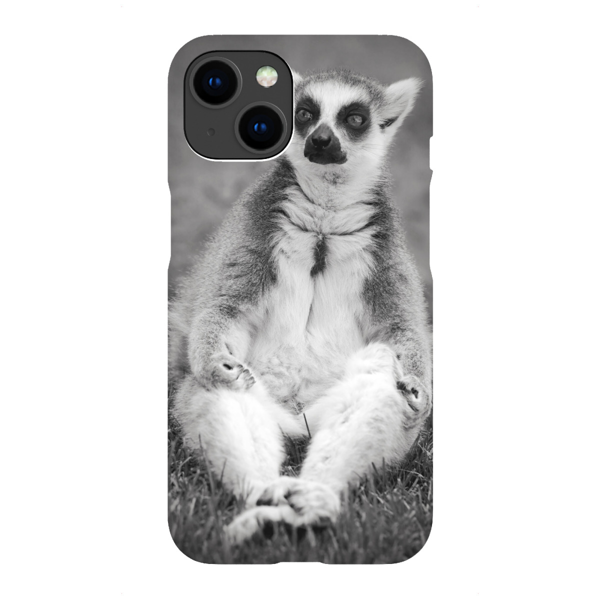 iPhone "Yoga Katta Lemur" Premium-Case Handyhülle artboxONE