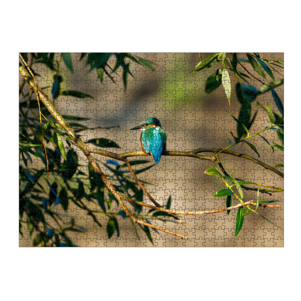 Puzzle Ravensburger "Eisvogel am Ansitz" artboxONE - Natur,Tiere - Eisvogel,Vogel,Alcedo atthis,Wildlife,Fischer,Natur - Bild eisvogel